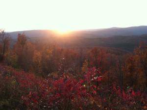 fall color1
