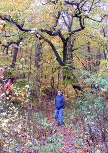 fall color2