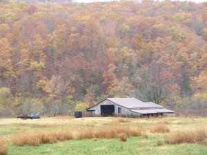 fall color3
